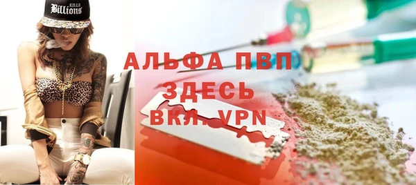 МДПВ Богородск