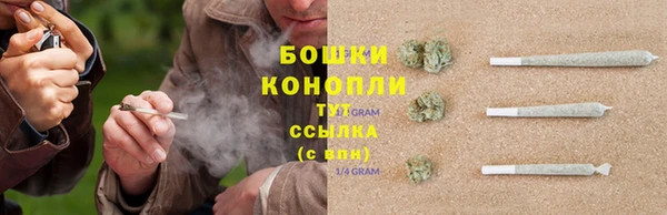 МДПВ Богородск