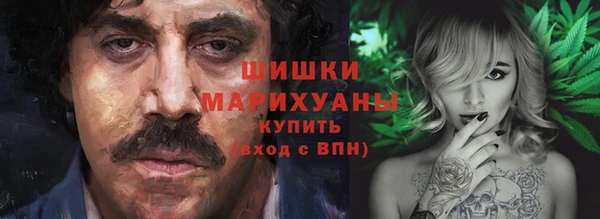 МДПВ Богородск