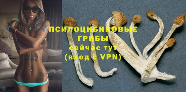 ПСИЛОЦИБИНОВЫЕ ГРИБЫ Богородицк