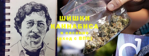 МДПВ Богородск