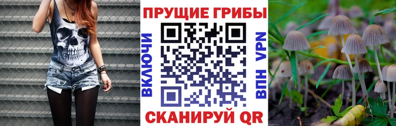 Галлюциногенные грибы MAGIC MUSHROOMS  наркотики  Великий Новгород 